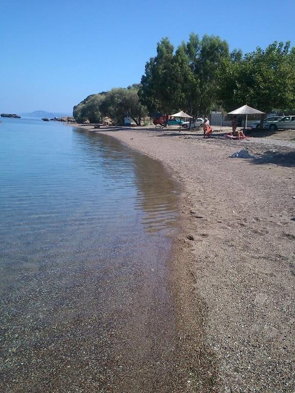 Evoikos Beach & Resort Livanátai Екстериор снимка