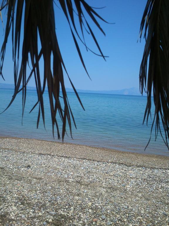 Evoikos Beach & Resort Livanátai Екстериор снимка