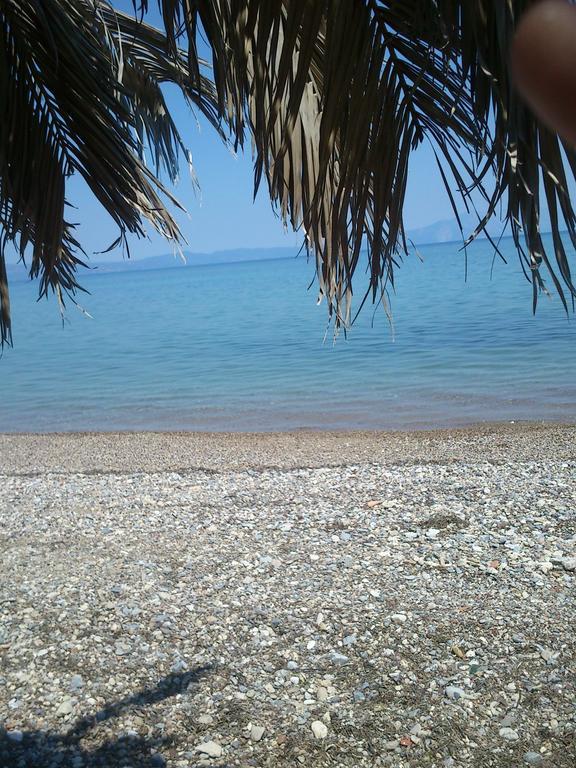 Evoikos Beach & Resort Livanátai Екстериор снимка