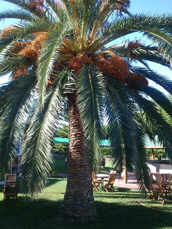 Evoikos Beach & Resort Livanátai Екстериор снимка