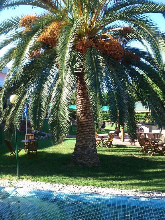 Evoikos Beach & Resort Livanátai Екстериор снимка